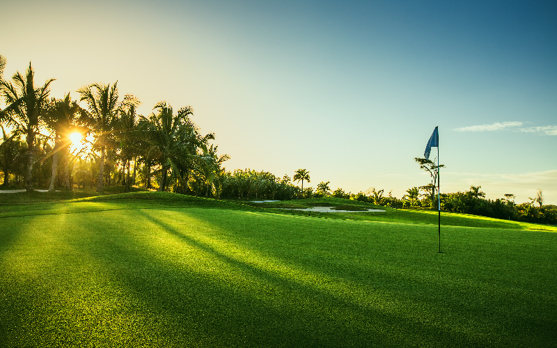 golf-course-in-florida